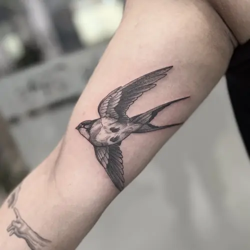 Tatuaje Golondrina