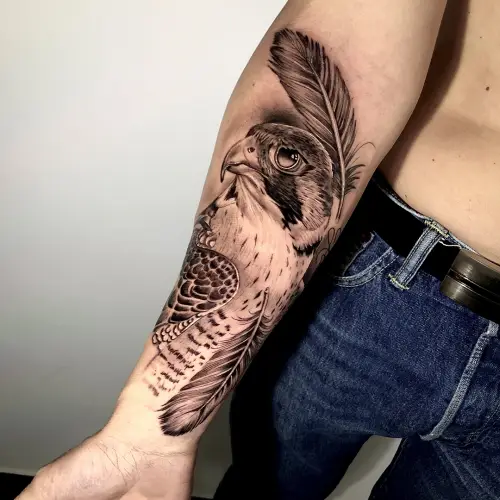 Falcon Tattoo